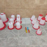 لوازم و تجهیزات جوجه و مرغ و خروس