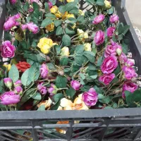 ۷عدد گلدان نو گل مصنوعی ودیوارکوب یکجا|گل مصنوعی|تهران, جی|دیوار