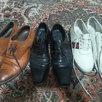 کفش|کیف، کفش، کمربند|شیراز, معالی‌آباد|دیوار