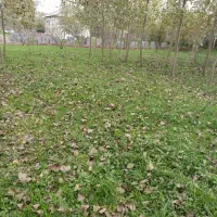 ۲۳۰۰ متر زمین باغی قاضیان سنگر رشت