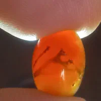 انگشتر عقیق شجر یمنی