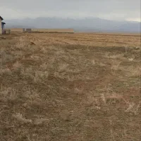 زمین دربیلوردی|فروش دفتر صنعتی، کشاورزی، تجاری|خواجه, |دیوار