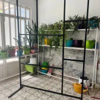 رگال و دکور و چنلیوم و مانکن|فروشگاه و مغازه|نیشابور, شهرک بسیج|دیوار