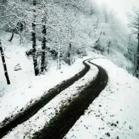 کره و خامه محلی  دوغ ونون خونگی سبزی قورمه سبزی