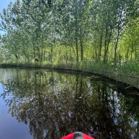 نور و چوب حرف می زنند|فروش خانه و ویلا|آق قلا, |دیوار