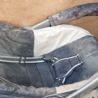 کریر فروش فوری