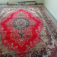 فرش کارکرده در حد نو|فرش|قم, شهر قائم|دیوار
