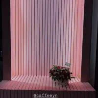 کناف و انواع سقف کاذب و دیوار پوش