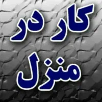 کار در خانه مناسب بانوان، دانشجویان وـ.
