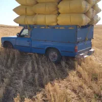 کاه گندم درجه یک