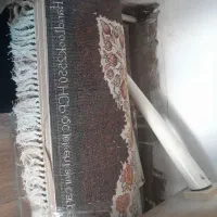 قالی ۳در۴|فرش|نیشابور, فرح بخش|دیوار