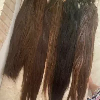 موی طبیعی نچرال