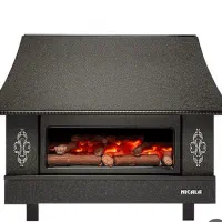 تعمیر -نصب و سرویس انواع بخاری گازی در محل