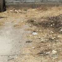 فروش زمین جنب مسکن ملی دهدشت زیر قیمت