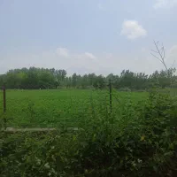 زمین ۶۰۰ متری