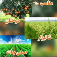 انواع کود وهیومیک برای باغهاوگلخانهاوصیفی جات|گل و گیاه طبیعی|لردگان, |دیوار