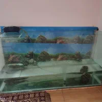 آکواریوم بزرگ|لوازم جانبی حیوانات|پاکدشت, شهرک امام رضا|دیوار