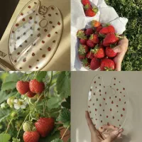 پالت نقاشی جنس رزین