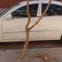 mvm530 مدل ۹۱|خودرو سواری و وانت|سهند, |دیوار