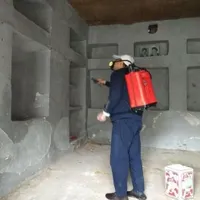 شرکت سمپاشی*ساس*حشرات موریانه سم پاشی عقرب ضمانتی|خدمات نظافت|اهواز, پادادشهر|دیوار