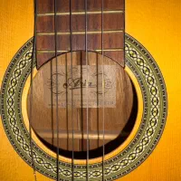 گیتار کلاسیک Aria مدل Ak30|گیتار، بیس، امپلیفایر|بوشهر, |دیوار