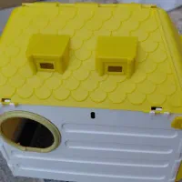 لانه عروس هلندی