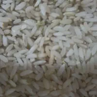 برنج چمپا و خورده برنج و نیم قد