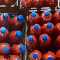 سبزیجات خانگی