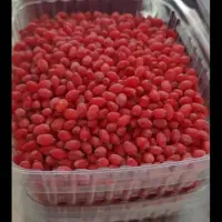 زرشک تازه ابداروخشکبار بیرجند|خوردنی و آشامیدنی|قرچک, زیبا شهر|دیوار