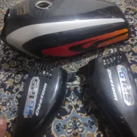 باک و اگزوز