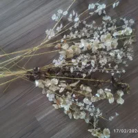 گل وگلدون|گل مصنوعی|همدان, |دیوار