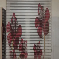 لوردراپه تصویری سه بعدی