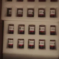 سنسور اکسیژن دستگاه سوخت سنج|قطعات یدکی و لوازم جانبی|تهران, نصرت|دیوار