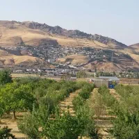 فروش دوقطعه باغ گیلاس