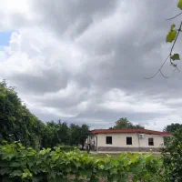 بوم گردی تی تی تگن|اجارهٔ کوتاهمدت آپارتمان و سوئیت|فرح آباد, |دیوار