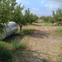 باغ 1000 متر|فروش دفتر صنعتی، کشاورزی، تجاری|اهر, |دیوار