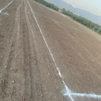 زمین باغ شهری|فروش زمین و ملک کلنگی|مرودشت, بیست متری بیمارستان|دیوار