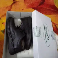 کفش شاهین|کیف، کفش، کمربند|اصفهان, مولوی|دیوار