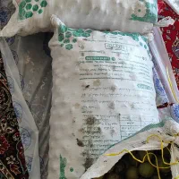 گردو تویسرکان درجه1مغز سفید پرچرب تک درخت|خوردنی و آشامیدنی|کنگاور, |دیوار
