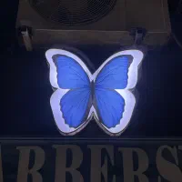 تابلو پروانه و فرشته