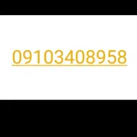 خط دائمی همراه