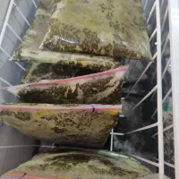 سبزی خورشتی جنوب|خوردنی و آشامیدنی|قم, پردیسان|دیوار