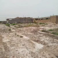 زمین-شهرداری-829