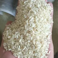 برنج کامفیروزی درجه یک