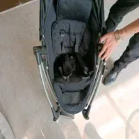 کالسکه مکسی کوزی maxi cosi