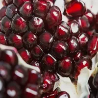 نهال انار بی دانه|خدمات باغبانی و درختکاری|شهرکرد, |دیوار