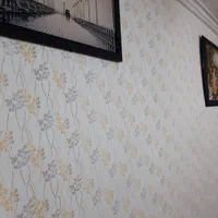 نقاشی و رنگ ساختمان طرح کاغذ دیواری|خدمات پیشه و مهارت|تالش, تالش|دیوار