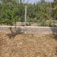 باغچه ۵۲۵متری(منطقه برند باغ کمال تنکمان)|فروش زمین و ملک کلنگی|تنکمان, |دیوار