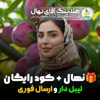 خرید حضوری انواع نهال مثمر و غیر مثمر ضمانتی
