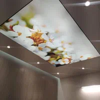 سقف کشسان|خدمات پیشه و مهارت|مسجد سلیمان, |دیوار